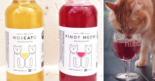 Macskáknak készült bort dobott piacra egy kreatív cég
