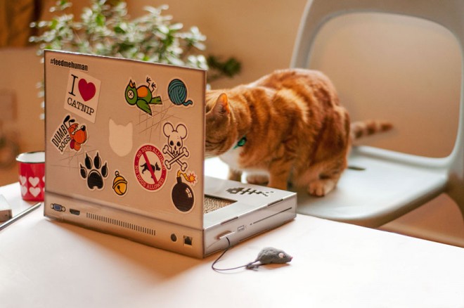 Már macskáknak is gyártanak laptopot!